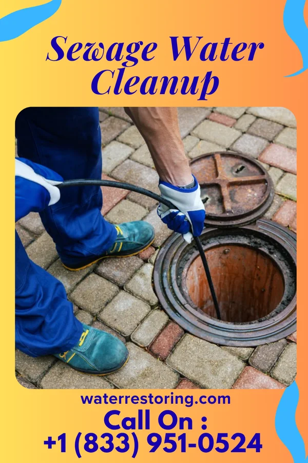 Sewage Water Cleanup in De Soto, IL
